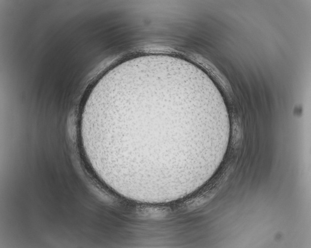 X0000116430533201001191513