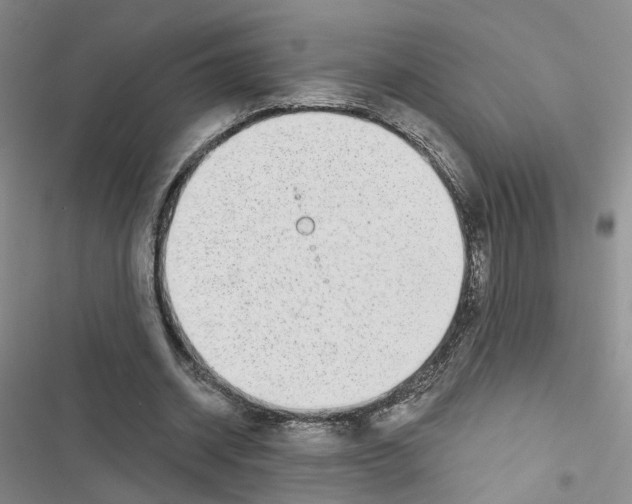 X0000116430534201001191513