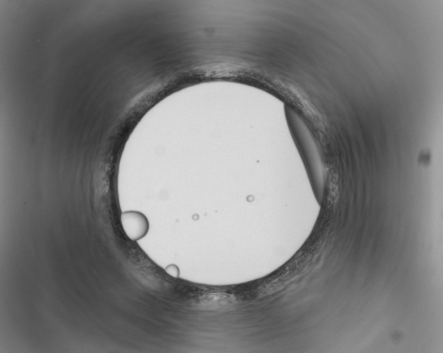 X0000116430543201001191513