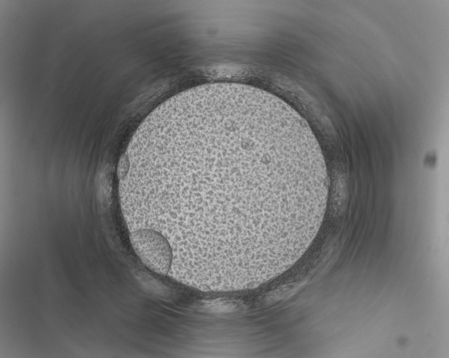 X0000116430545201001191513