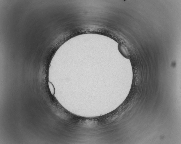 X0000116430546201001191513