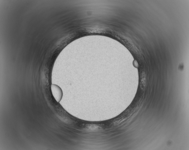 X0000116430547201001191513