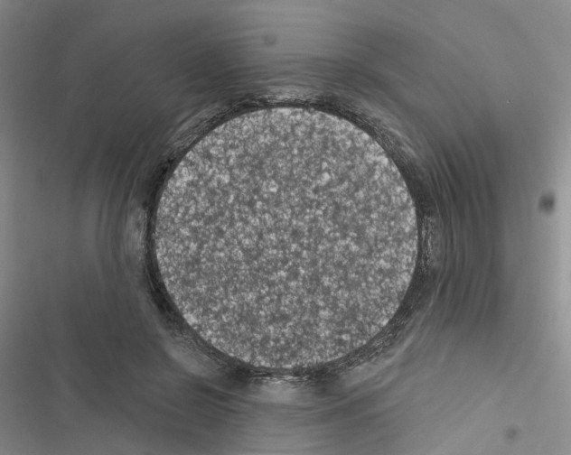 X0000116430550201001191513