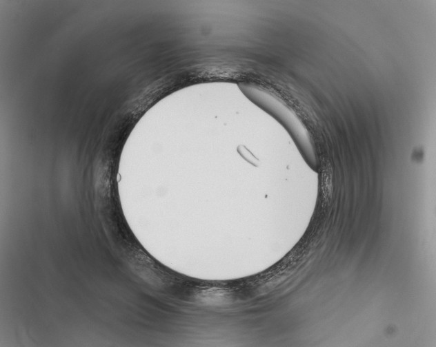 X0000116430551201001191513
