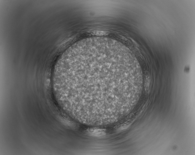 X0000116430553201001191513