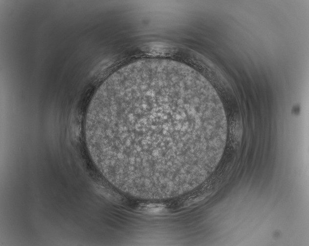 X0000116430554201001191513