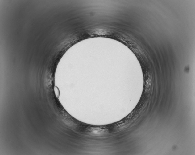 X0000116430555201001191513