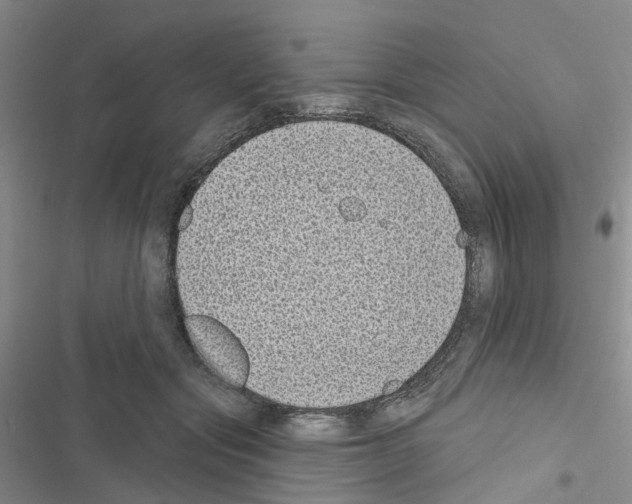 X0000116430557201001191513