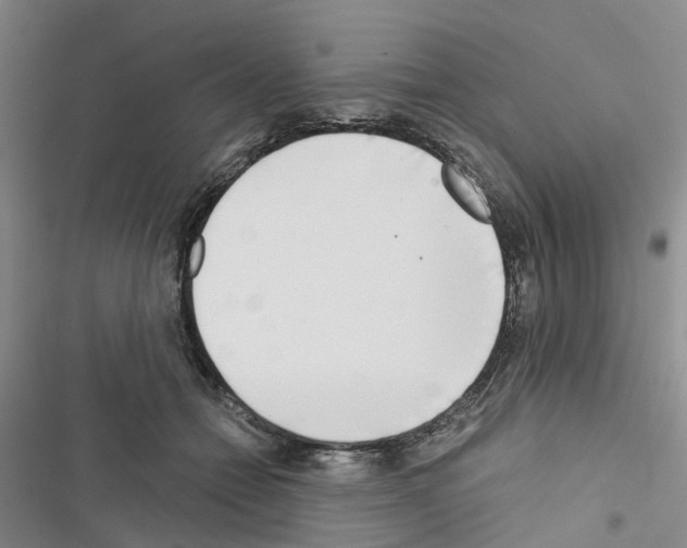 X0000116430558201001191513