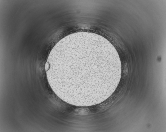 X0000116430559201001191513
