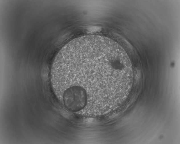 X0000116430565201001191513