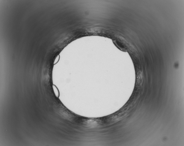 X0000116430566201001191513