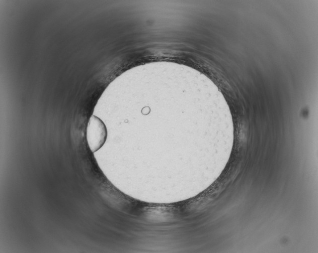 X0000116430567201001191513