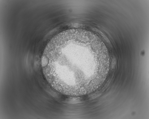 X0000116430569201001191513