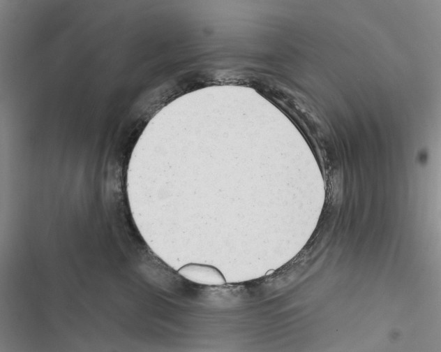 X0000116430571201001191513