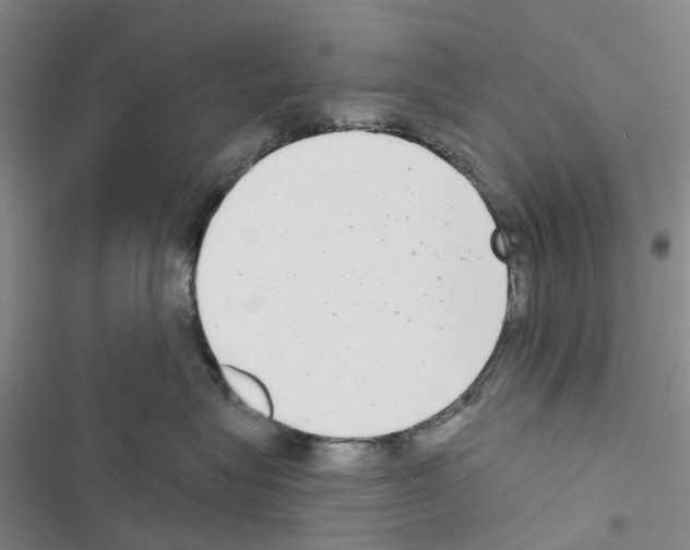 X0000116430575201001191513