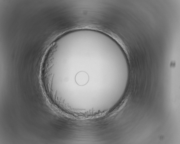 X0000116430577201001191513