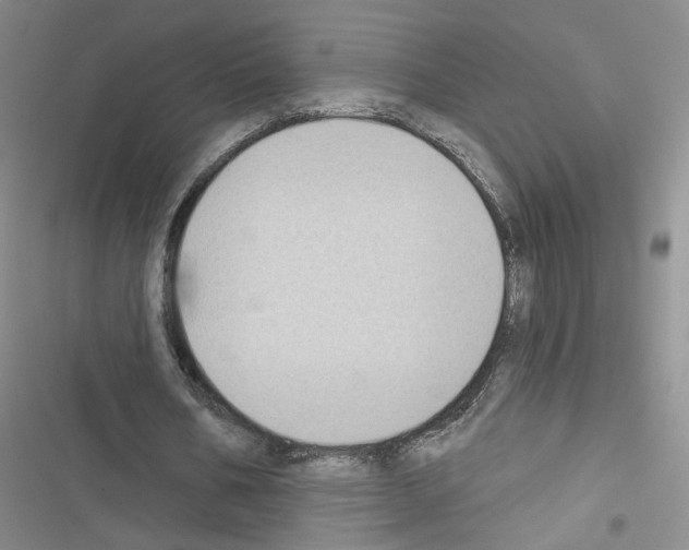 X0000116430578201001191513