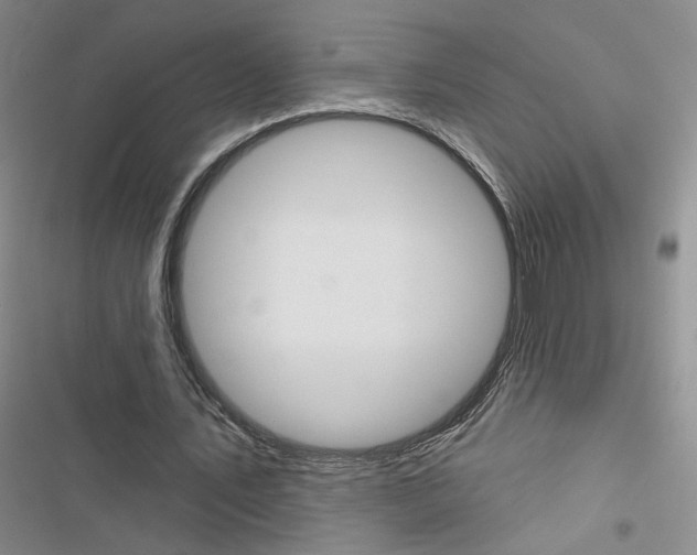 X0000116430579201001191513