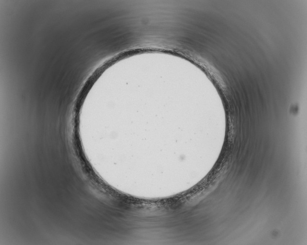 X0000116430580201001191513