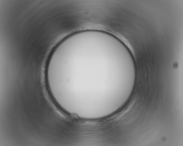 X0000116430581201001191513
