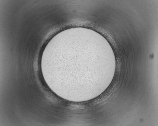 X0000116430582201001191513