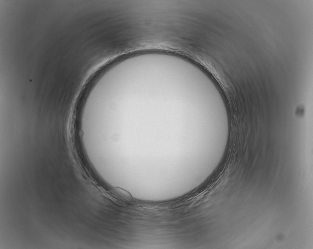 X0000116430583201001191513