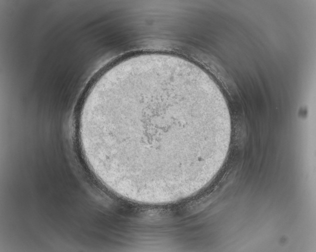 X0000116430584201001191513