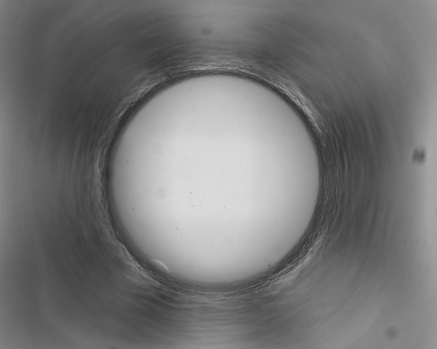 X0000116430585201001191512