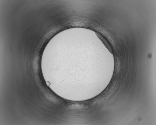 X0000116430586201001191512