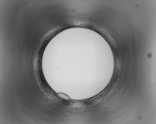 X0000116430587201001191512