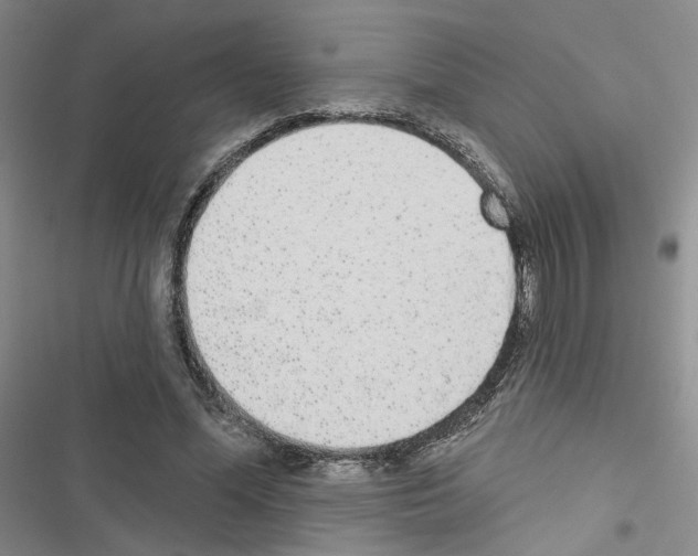 X0000116430588201001191512