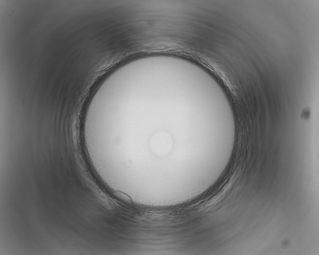 X0000116430589201001191512