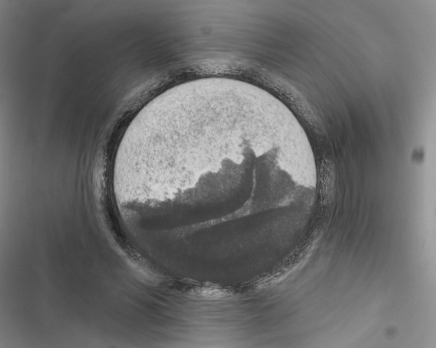 X0000116430590201001191512