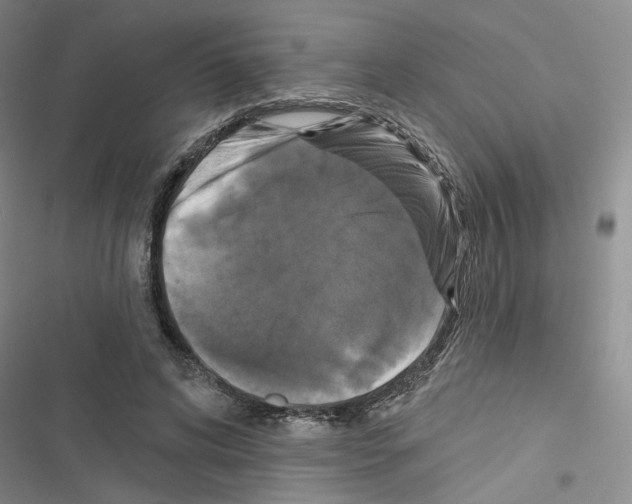X0000116430592201001191512
