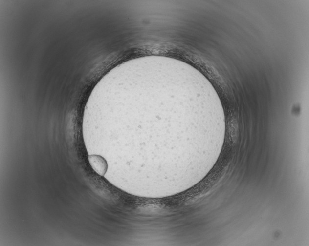 X0000116430594201001191512