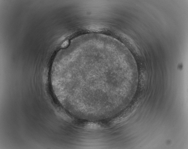 X0000116430596201001191512