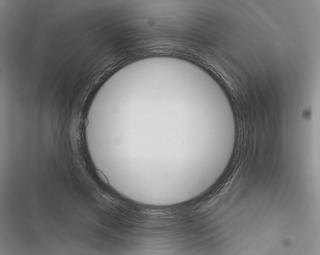 X0000116430597201001191512