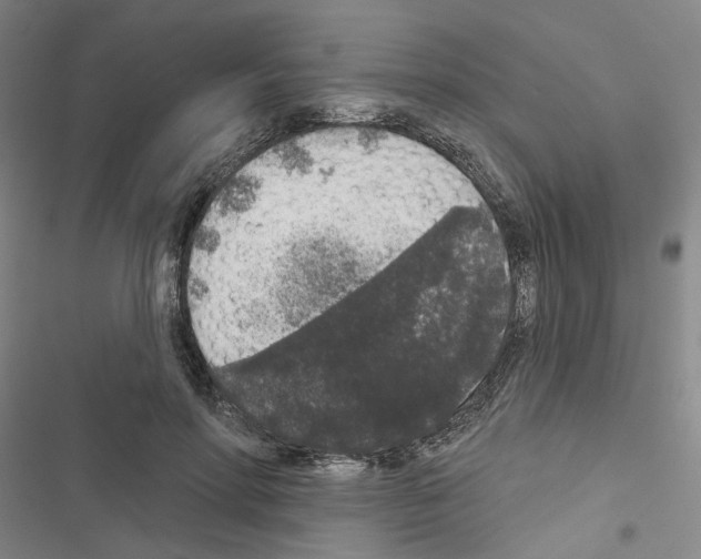 X0000116430598201001191512