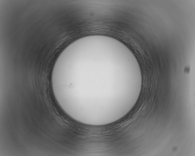 X0000116430599201001191512