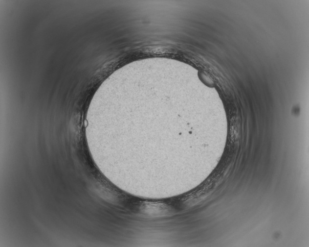 X0000116430605201001191512