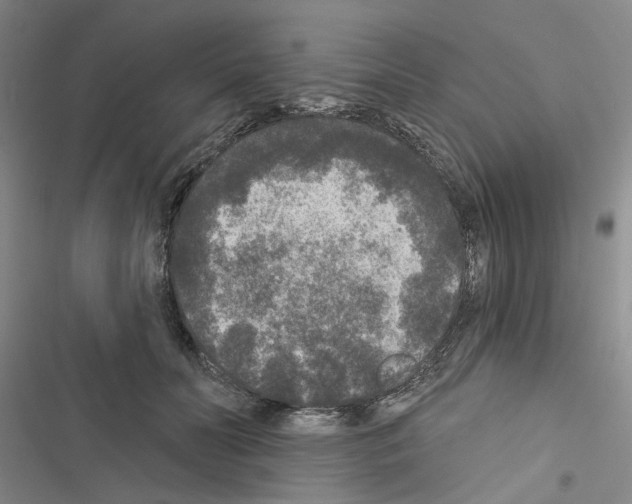 X0000116430606201001191512