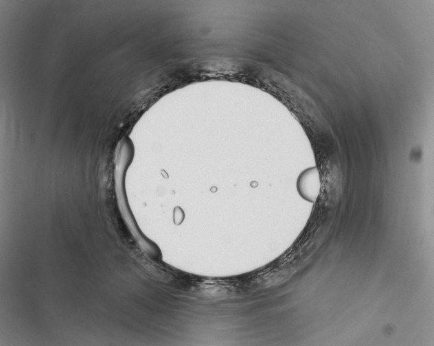X0000116430608201001191512
