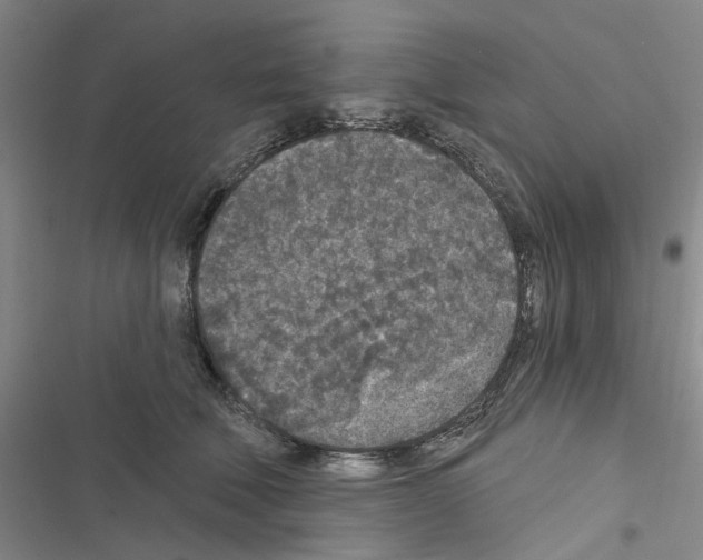 X0000116430610201001191512