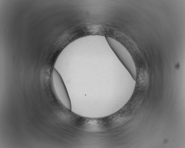 X0000116430611201001191512