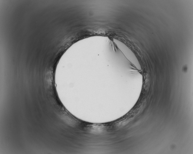 X0000116430612201001191512