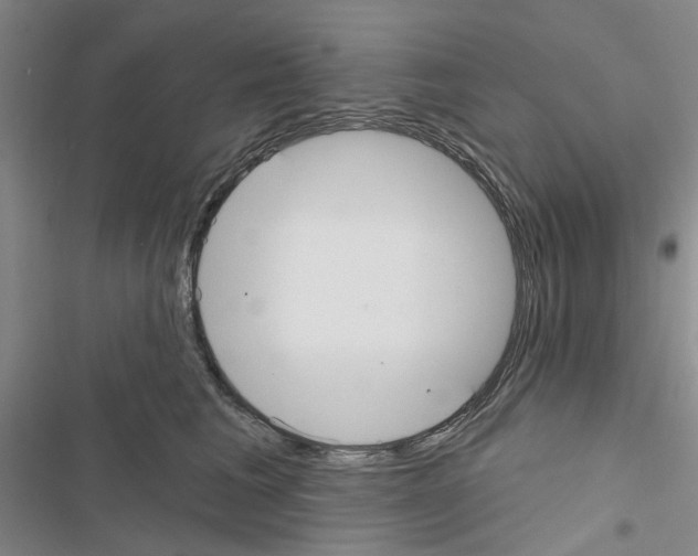 X0000116430613201001191512