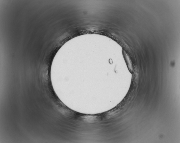 X0000116430615201001191512