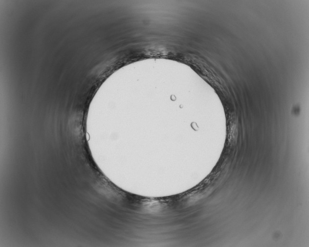 X0000116430616201001191512