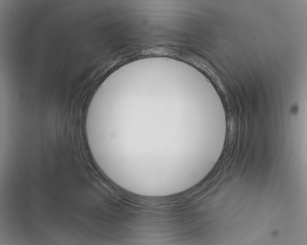 X0000116430617201001191512